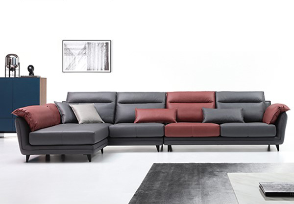 DS731-A 以夢為馬 DS731-A 以夢為馬